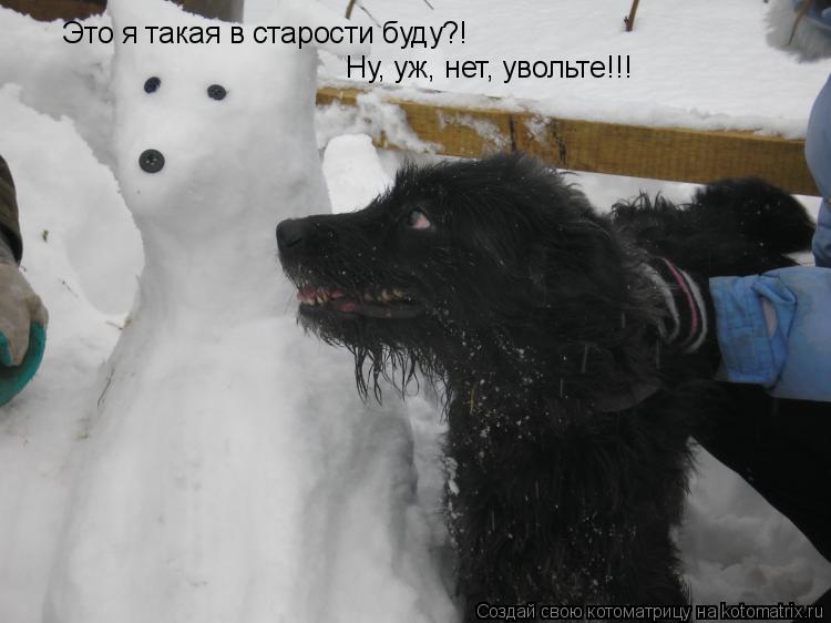 Котоматрица: Это я такая в старости буду?! Ну, уж, нет, увольте!!!