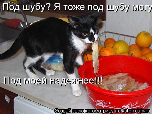 Котоматрица: Под шубу? Я тоже под шубу могу, Под моей надежнее!!!