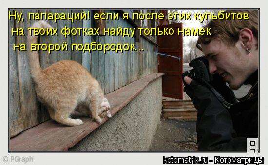 Котоматрица: Ну, папараций! если я после этих кульбитов  на твоих фотках найду только намек  на второй подбородок...