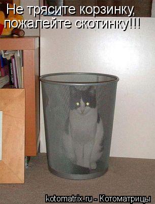Котоматрица: Не трясите корзинку, пожалейте скотинку!!!