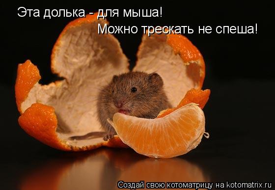 Котоматрица: Эта долька - для мыша! Можно трескать не спеша!