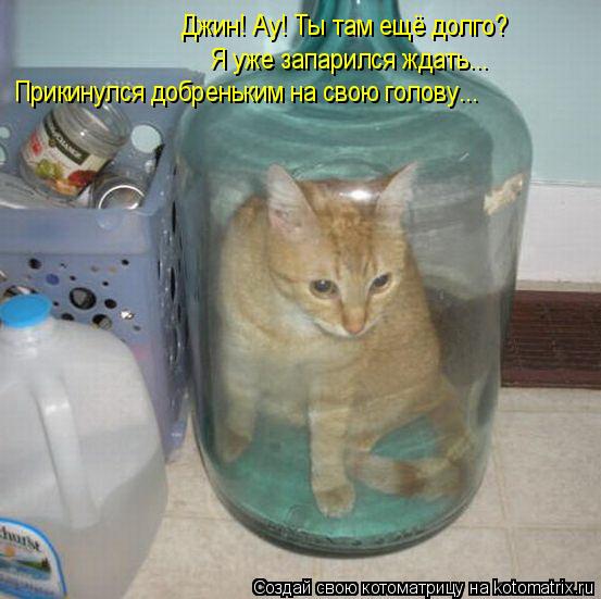 Котоматрица: Джин! Ау! Ты там ещё долго? Я уже запарился ждать... Прикинулся добреньким на свою голову...