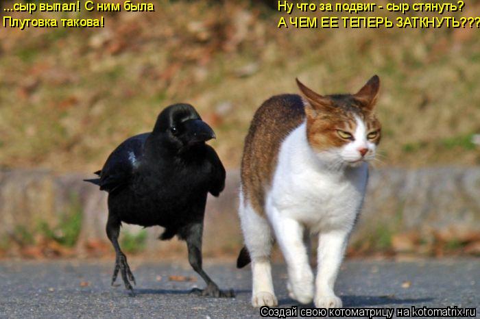 Котоматрица: ...сыр выпал! С ним была Плутовка такова! Ну что за подвиг - сыр стянуть? А ЧЕМ ЕЕ ТЕПЕРЬ ЗАТКНУТЬ???