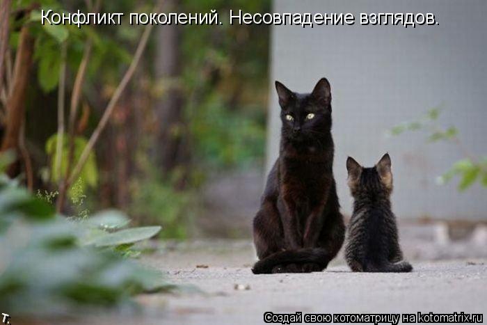 Конфликт поколений. Несовпадение взглядов.... Котоматрица: Конфликт поколений. Несовпадение взглядов.