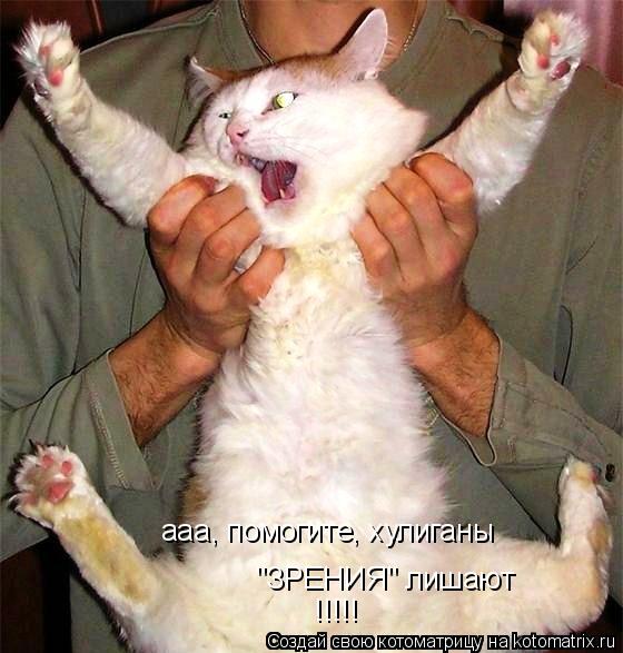 Котоматрица: "ЗРЕНИЯ" лишают ааа, помогите, хулиганы !!!!!