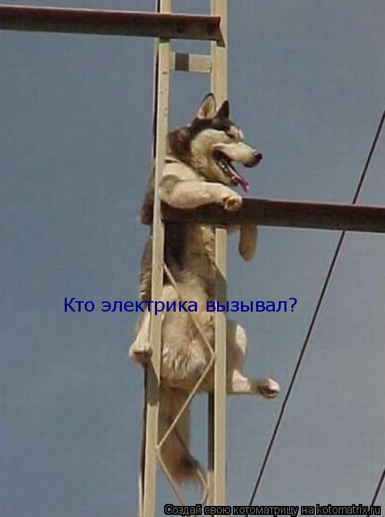 Котоматрица: Кто электрика вызывал?