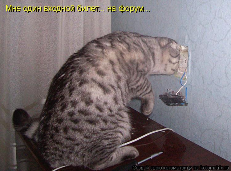 Котоматрица: Мне один входной билет... на форум...