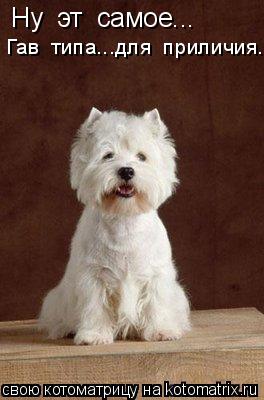 Котоматрица: Ну  эт  самое... Гав  типа...для  приличия.
