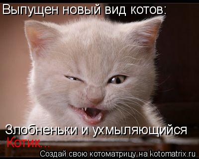 Котоматрица: Выпущен новый вид котов: Злобненьки и ухмыляющийся Котик...