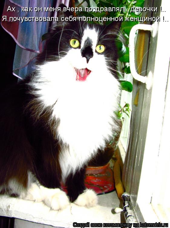Котоматрица: Ах , как он меня вчера поздравлял , девочки !.. Я почувствовала себя полноценной женщиной !..