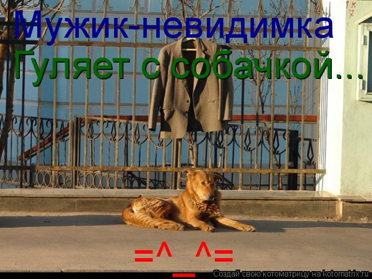 Котоматрица: Мужик-невидимка Гуляет с собачкой... =^_^=