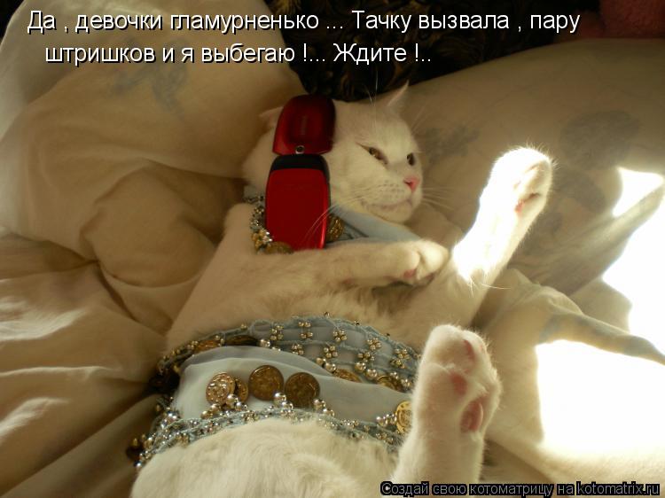 Котоматрица: Да , девочки гламурненько ... Тачку вызвала , пару  штришков и я выбегаю !... Ждите !..