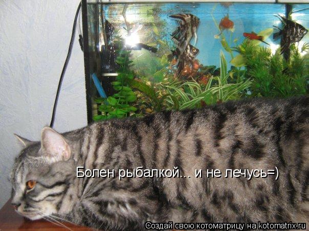 Котоматрица: Болен рыбалкой... и не лечусь=) Болен рыбалкой... и не лечусь=)