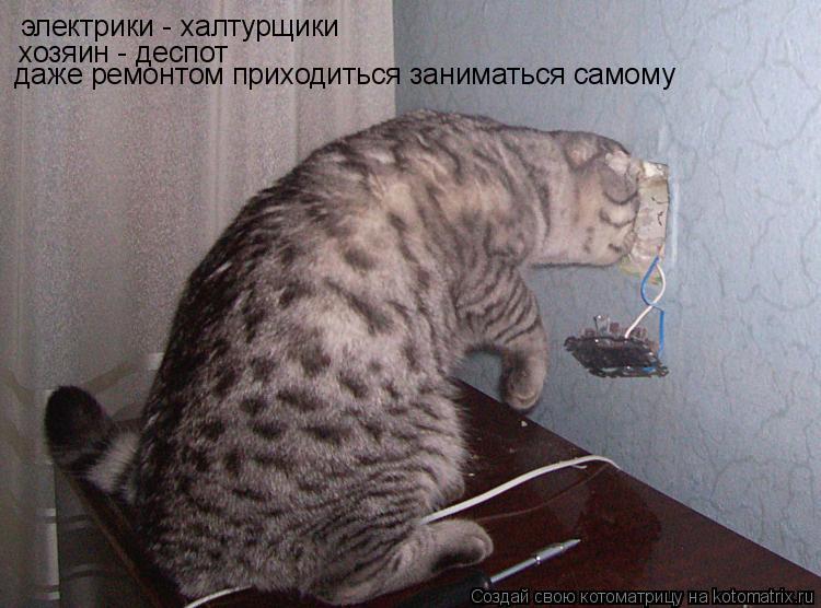 Котоматрица: электрики - халтурщики хозяин - деспот даже ремонтом приходиться заниматься самому