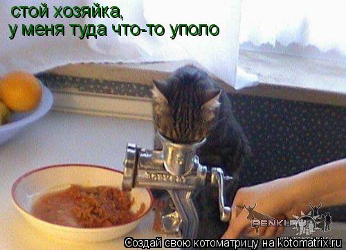 Котоматрица: стой хозяйка,  у меня туда что-то уполо