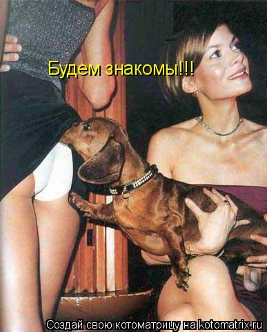 Котоматрица: Будем знакомы!!!