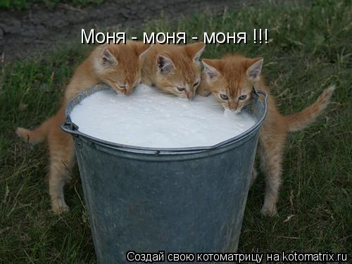 Котоматрица: Моня - моня - моня !!!