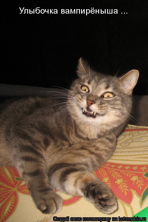 Котоматрица: Улыбочка вампирёныша ...