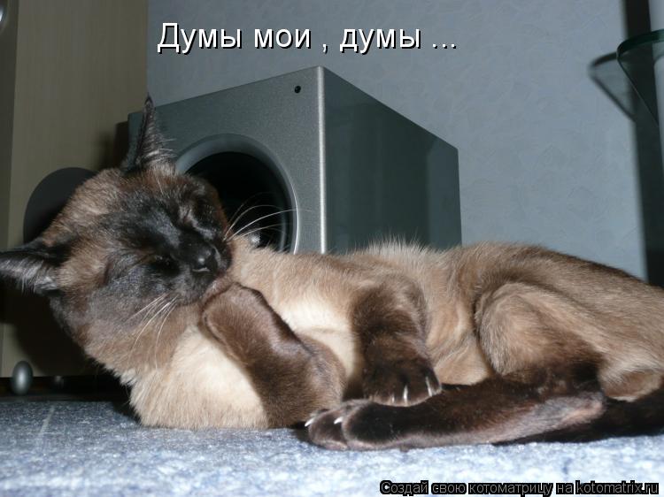 Котоматрица: Думы мои , думы ...
