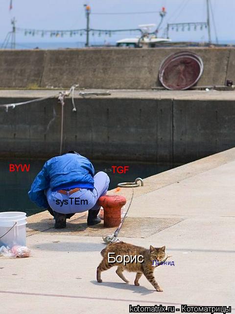 Котоматрица: Борис TGF sysTEm BYW Леонид