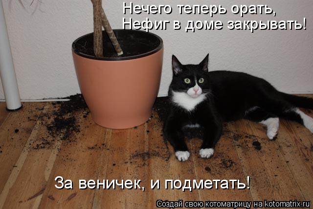 Котоматрица: Нечего теперь орать, Нефиг в доме закрывать! За веничек, и подметать!