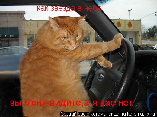 Котоматрица: как звезда в небе вы меня видите,а я вас нет