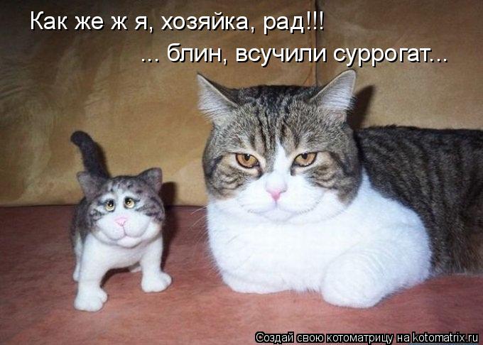 Котоматрица: Как же ж я, хозяйка, рад!!! ... блин, всучили суррогат...