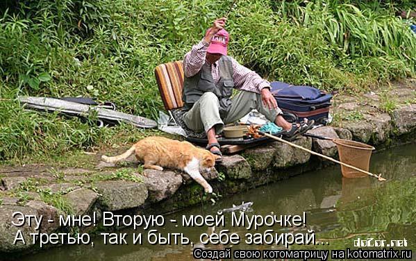 Эту - мне! Вторую - моей Мурочке! А третью, так и быть, себе забирай...... Котоматрица: Эту - мне! Вторую - моей Мурочке! А третью, так и быть, себе забирай...
