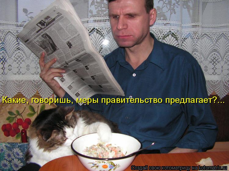 Какие, говоришь, меры правительство предлагает?...... Котоматрица: Какие, говоришь, меры правительство предлагает?...