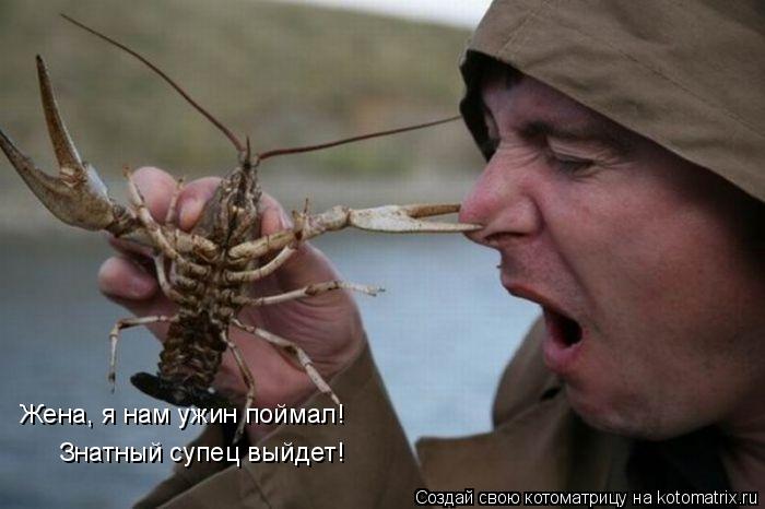 Котоматрица: Жена, я нам ужин поймал! Знатный супец выйдет!