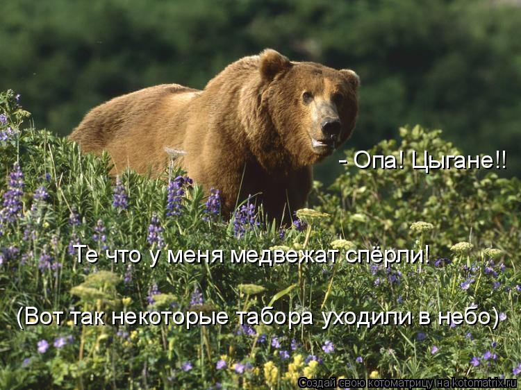 - Опа! Цыгане!! Те что у меня медвежат спёрли! (Вот так некоторые табора уходили в небо)... Котоматрица: - Опа! Цыгане!! Те что у меня медвежат спёрли! (Вот так некоторые табора уходили в небо)