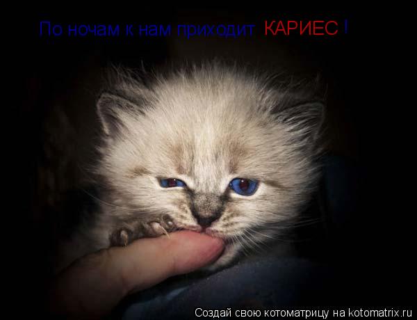Котоматрица: По ночам к нам приходит                    КАРИЕС                !