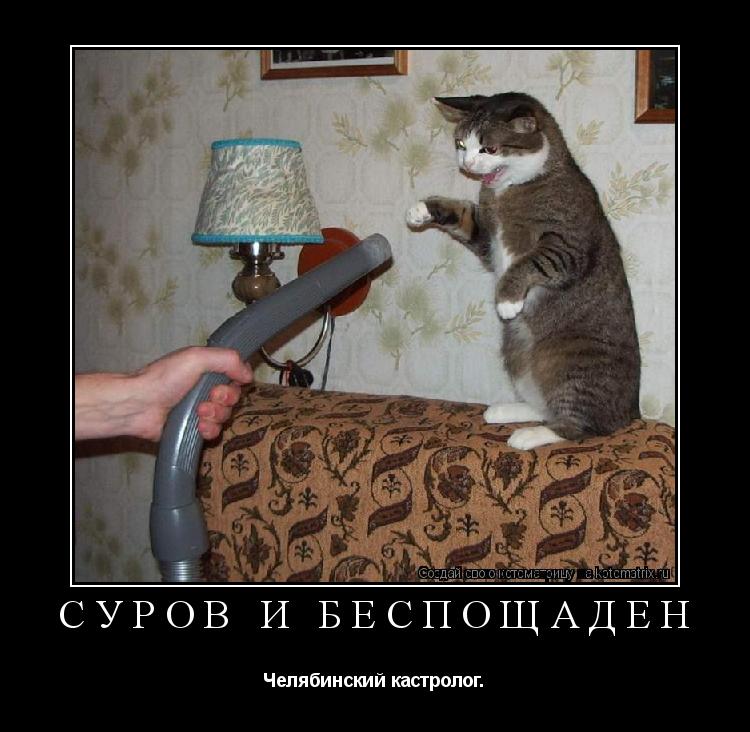 Котоматрица: суров и беспощаден Челябинский кастролог.