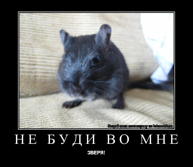 Котоматрица: не буди во мне ЗВЕРЯ!