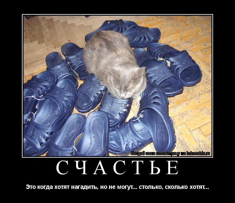 Котоматрица: Счастье Это когда хотят нагадить, но не могут... столько, сколько хотят...