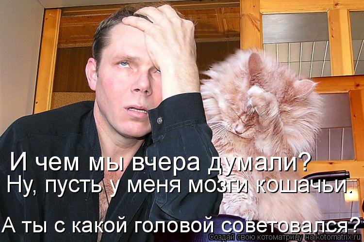 Котоматрица: И чем мы вчера думали?  Ну, пусть у меня мозги кошачьи.  А ты с какой головой советовался?