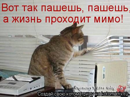 Котоматрица: Вот так пашешь, пашешь, а жизнь проходит мимо!