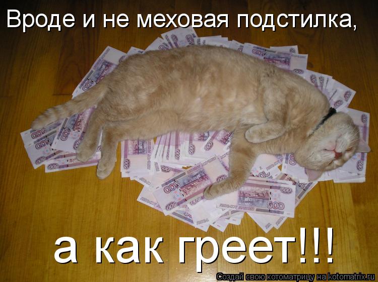 Котоматрица: Вроде и не меховая подстилка, а как греет!!!