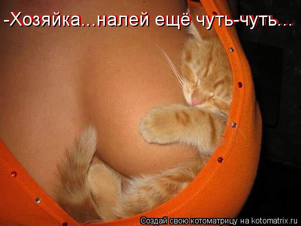 Котоматрица: -Хозяйка...налей ещё чуть-чуть... -Хозяйка...налей ещё чуть-чуть...