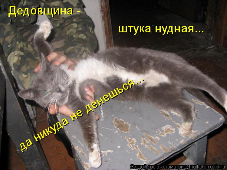 Дедовщина - штука нудная... да никуда не денешься...... Котоматрица: Дедовщина - штука нудная... да никуда не денешься...