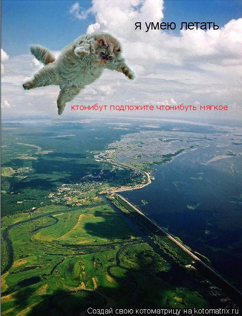 я умею летать ктонибут подложите чтонибуть мягкое... Котоматрица: я умею летать ктонибут подложите чтонибуть мягкое