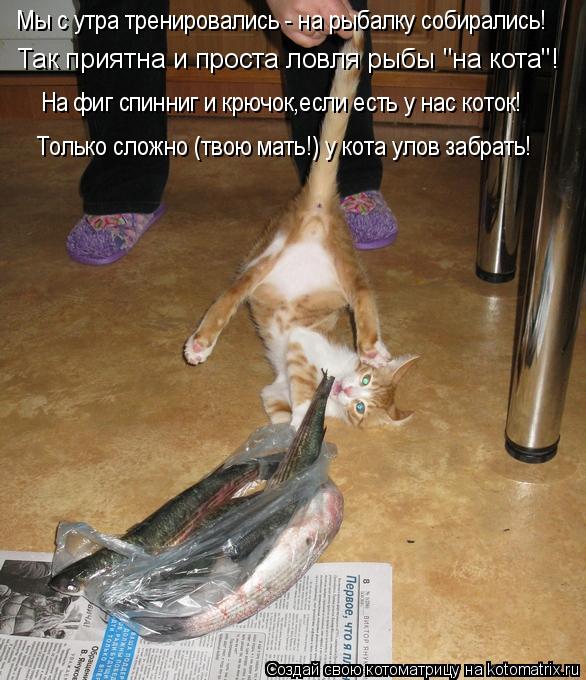 Котоматрица: Мы с утра тренировались - на рыбалку собирались! Так приятна и проста ловля рыбы "на кота"! На фиг спинниг и крючок,если есть у нас коток! Толь