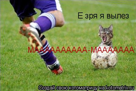 Е зря я вылез МАААААААААА-МААААААА... Котоматрица: Е зря я вылез МАААААААААА-МААААААА