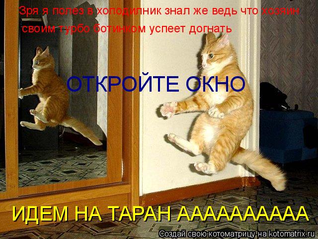 Зря я полез в холодилник знал же ведь что хозяин своим турбо ботинком успеет догнать ОТКРОЙТЕ ОКНО ИД... Котоматрица: Зря я полез в холодилник знал же ведь что хозяин своим турбо ботинком успеет догнать ОТКРОЙТЕ ОКНО ИДЕМ НА ТАРАН АААААААААА