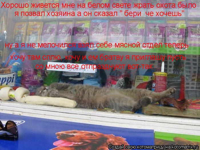 Хорошо живется мне на белом свете жрать охота было я позвал хозяина а он сказал " бери че хочешь" ну... Котоматрица: Хорошо живется мне на белом свете жрать охота было я позвал хозяина а он сказал " бери че хочешь" ну а я не мелочился взял себе мясной отдел т