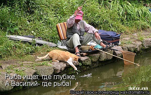 Котоматрица: Рыба ищет, где глубже, А Василий- где рыба!