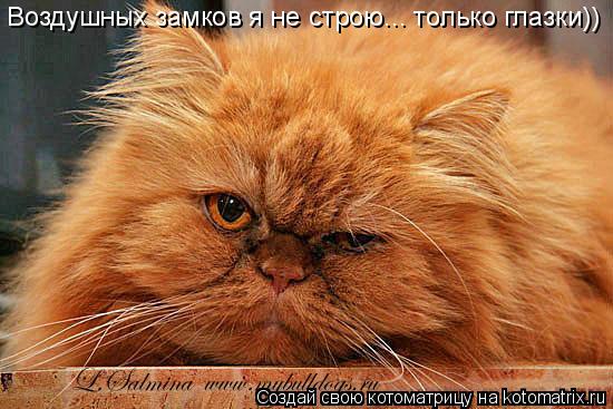 Котоматрица: Воздушных замков я не строю... только глазки))