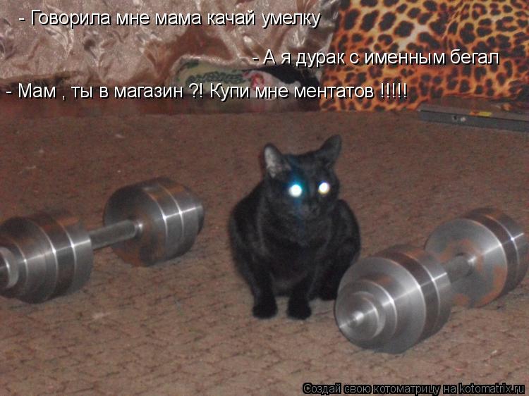 Котоматрица: - Говорила мне мама качай умелку - А я дурак с именным бегал - Мам , ты в магазин ?! Купи мне ментатов !!!!!