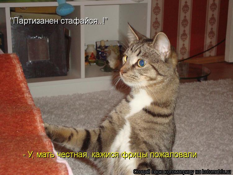 Котоматрица: "Партизанен стафайся..!" - У, мать честная, кажися фрицы пожаловали
