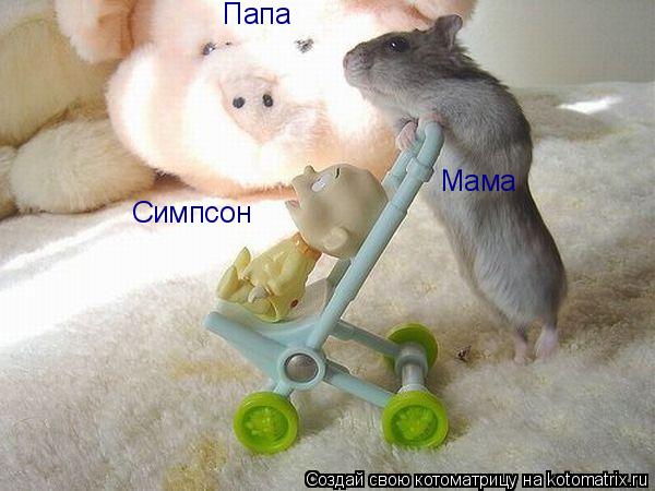 Котоматрица: Папа Мама Симпсон